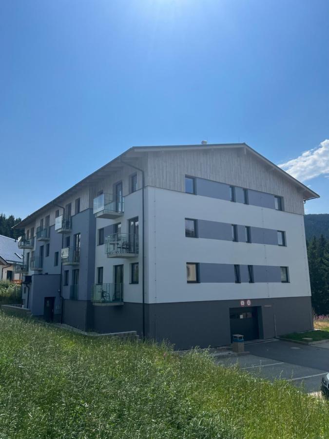 Klinovec-Apartments Loučná pod Klínovcem Eksteriør bilde